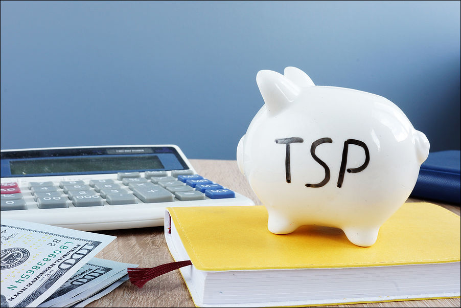TSP Access Problems and Mutual Fund Window